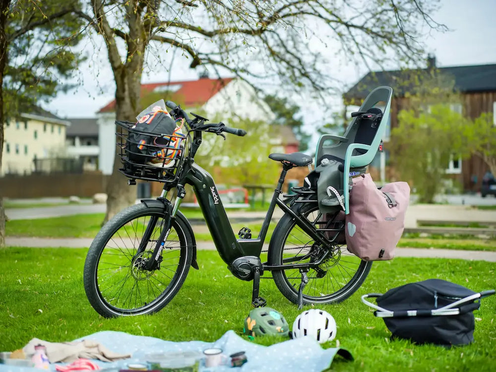 Buddy D3 Plus