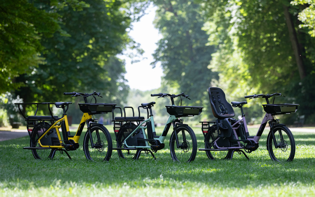 Douze Cycles LT24 Bafang 672 Wh